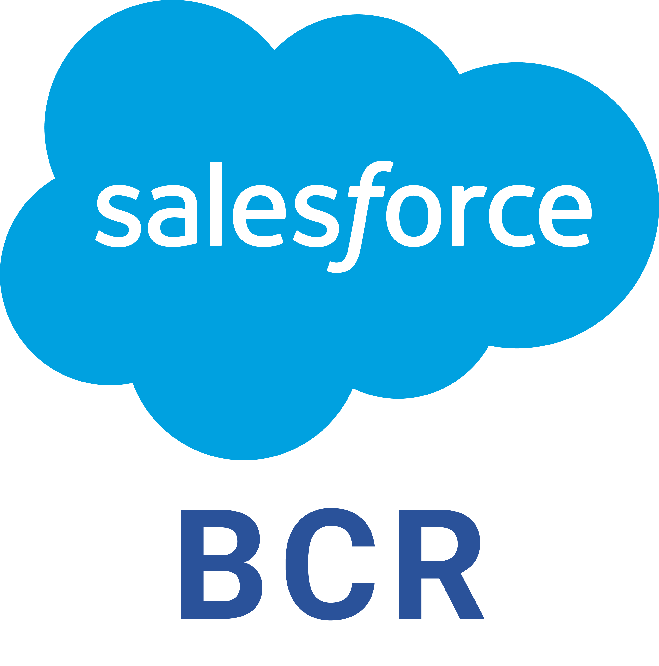 Salesforce BCR